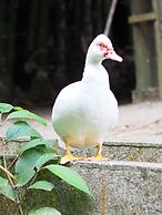 Reserva Natural Tierra Adentro