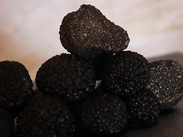 La Ferme les Eybrachas