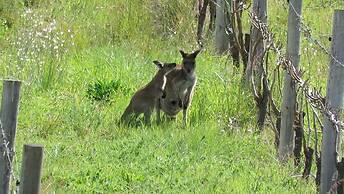 Hotel California Road at Inkwell Wines