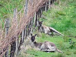 Hotel California Road at Inkwell Wines