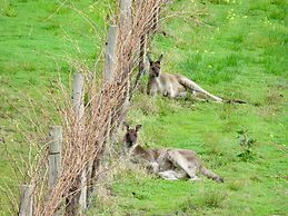 Hotel California Road at Inkwell Wines