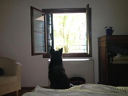 Agriturismo Barchessa