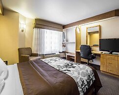 Quality Inn Moab Slickrock Area