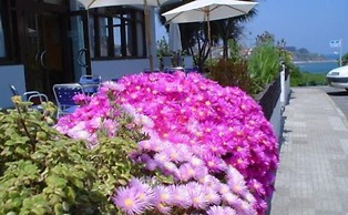Hotel Los Laureles
