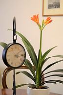 Il Palazzo Boutique B&B