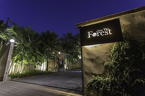 Into The Forest Resort