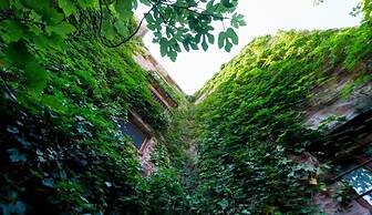 Hotel Rural el Jardín Vertical - Adults Only