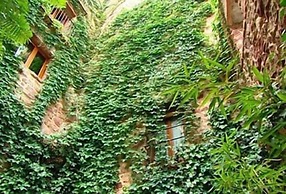 Hotel Rural el Jardín Vertical - Adults Only