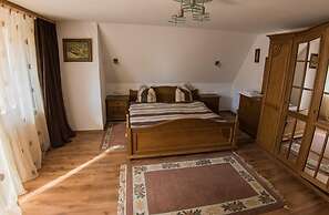 Vila Flora Viseu de Jos