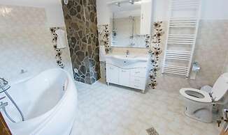 Vila Flora Viseu de Jos