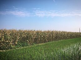 Sigang Grandma House