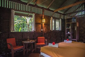 Our Jungle House