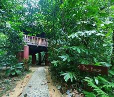 Our Jungle House