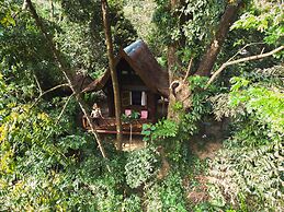 Our Jungle House