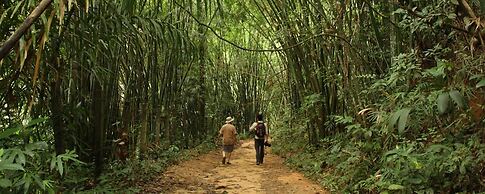 Our Jungle House