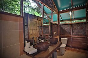 Our Jungle House