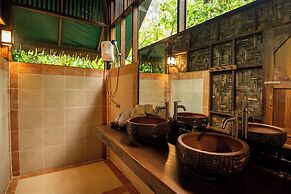 Our Jungle House