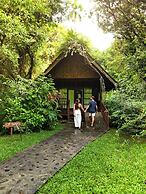 Our Jungle House