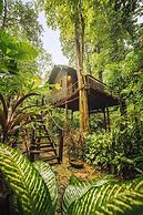 Our Jungle House