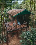 Our Jungle House