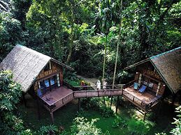 Our Jungle House