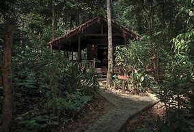 Our Jungle House