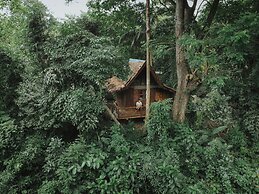 Our Jungle House