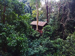 Our Jungle House