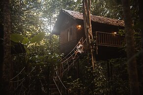 Our Jungle House