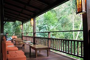 Our Jungle House