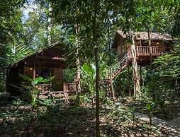 Our Jungle House
