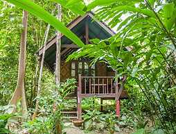 Our Jungle House
