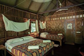 Our Jungle House
