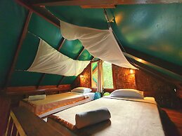Our Jungle House