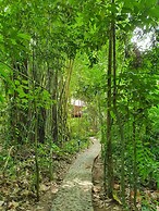 Our Jungle House