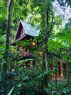 Our Jungle House