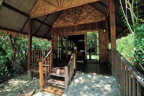 Our Jungle House