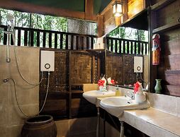 Our Jungle House