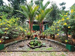 Kuttickattil Gardens Home Stay