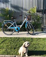 MiHaven Shared Living - Pembroke St