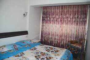 Lan Zhou Long Shang Purple Tulip