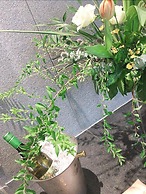 Sincere Residence Changfeng