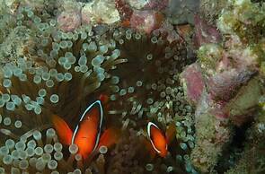 Zerogravity koniya clubhouse