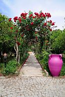 Olive Farm Of Datca