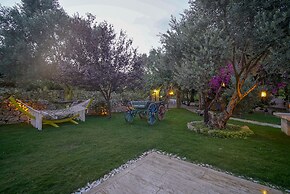 Olive Farm Of Datca