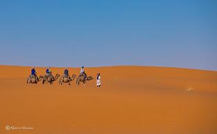 Kasbah Hotel Ziz Palace Rissani