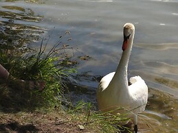 Agroturystyka Katarzyna Tarasiewicz