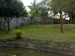 REX Habitat and Cultural Display Area