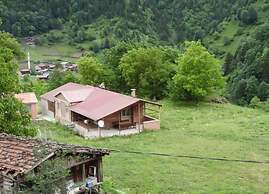 Uzungol Bilalego Apart