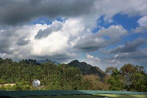 Tea Garden Holiday Inn